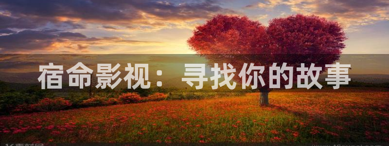 美國電影水蜜桃：宿命影視：尋找你的故事